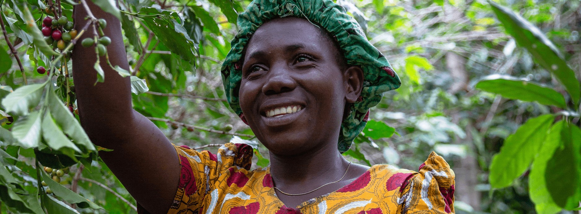 (c) Claro-winterthur.ch